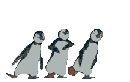 pinguin dance